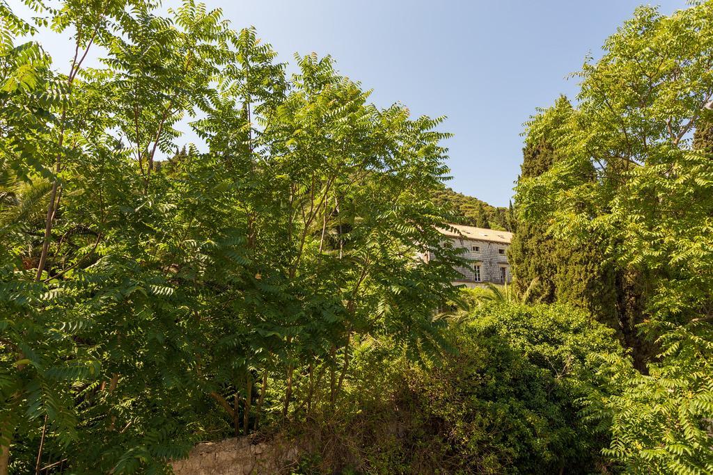 Apartment Luki Dubrovnik Dış mekan fotoğraf